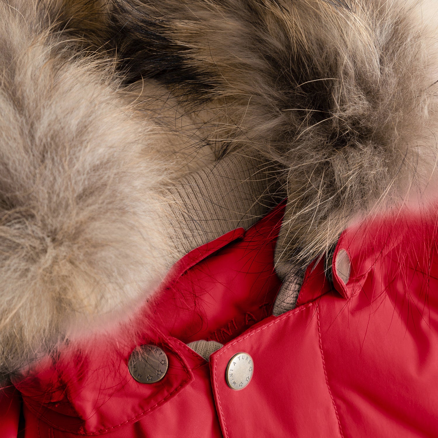 Detail of the MATWALLY fleece lined winter jacket's hood attachment showing the hidden zip system beneath the detachable real fur trim, with branded press studs securing the vibrant red outer shell and the natural multi-tonal fur displaying its soft texture against the jacket's collar construction.